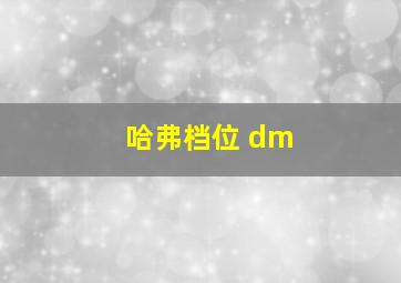 哈弗档位 dm